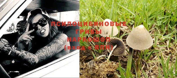 меф Майский