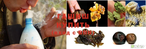 прущие грибы Волоколамск