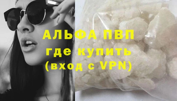 прущие грибы Волоколамск