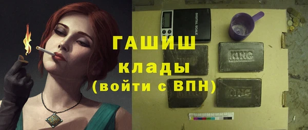 прущие грибы Волоколамск