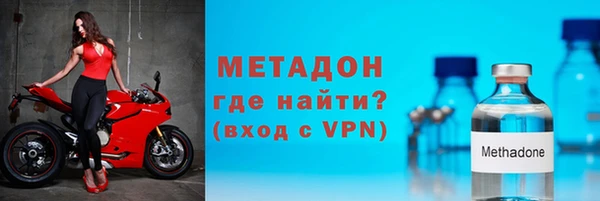 прущие грибы Волоколамск