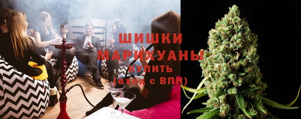 прущие грибы Волоколамск