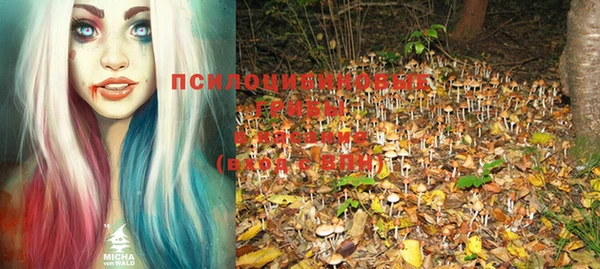 таблы Володарск